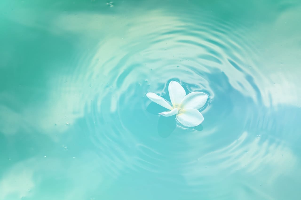 pexels-neosiam-580871