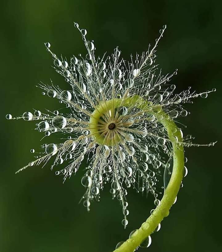 Beauté_Nature