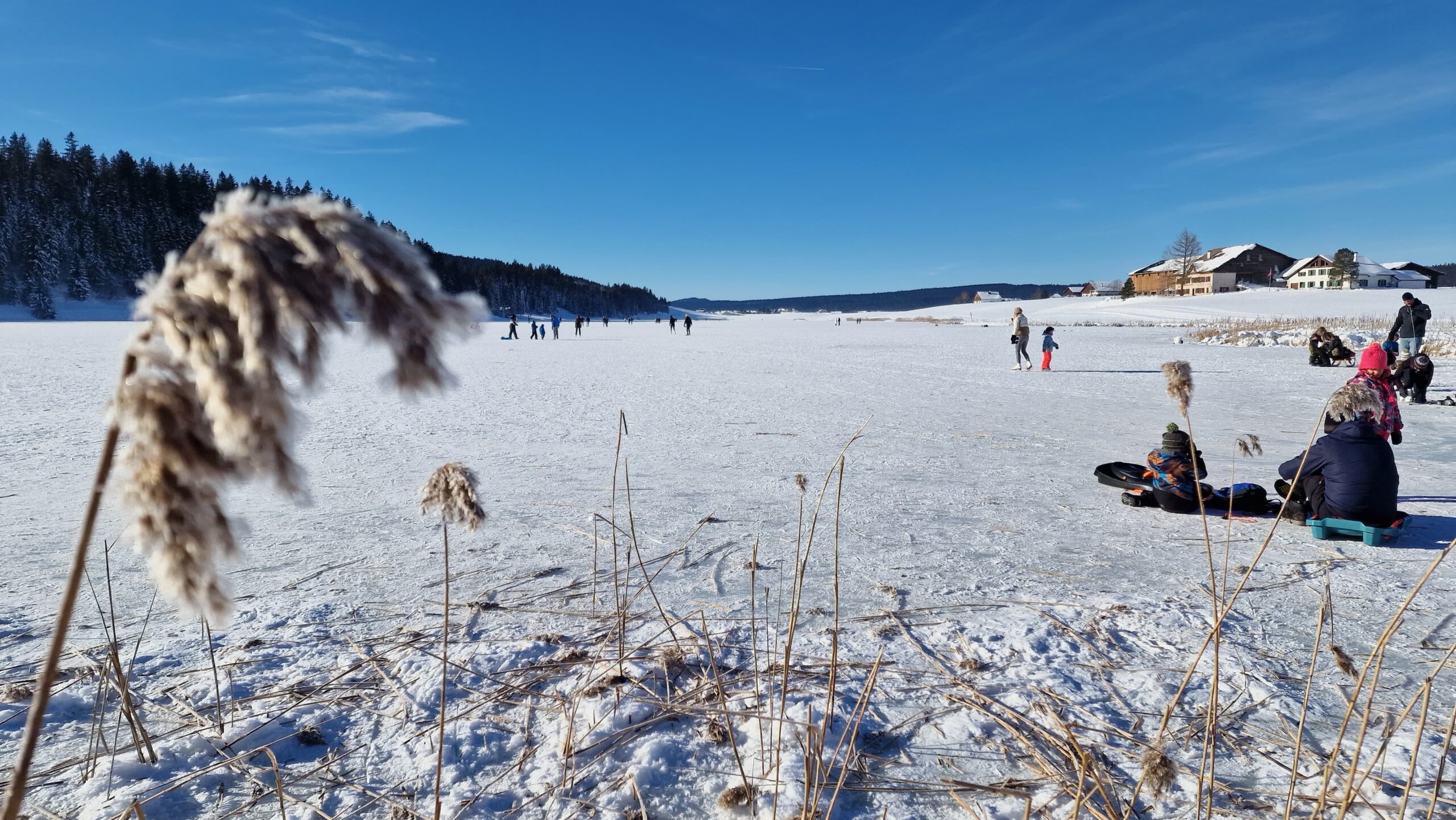 paysage enneigé lac gelé hiver ciel bleu
